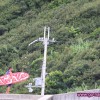 IMG_7561