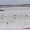 IMG_7751