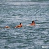 IMG_6301