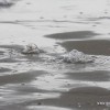 IMG_8929