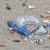 IMG_8964