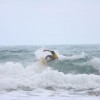 IMG_9219
