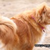 IMG_3087 copy