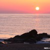 IMG_4949 IMG_4949