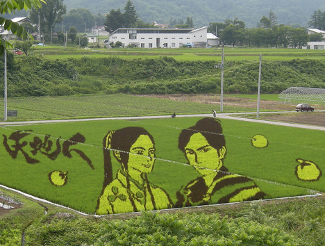 rice_art_2009_8