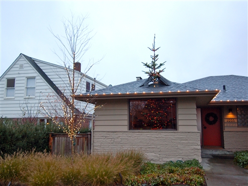 tdy-121220-xmas-tree-through-the-roof-01.photoblog500