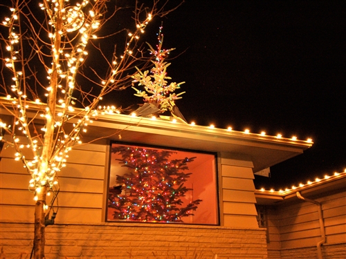 tdy-121220-xmas-tree-through-the-roof-03.photoblog500