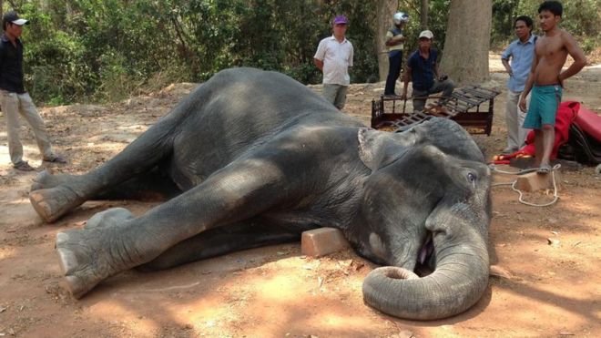 cambodia