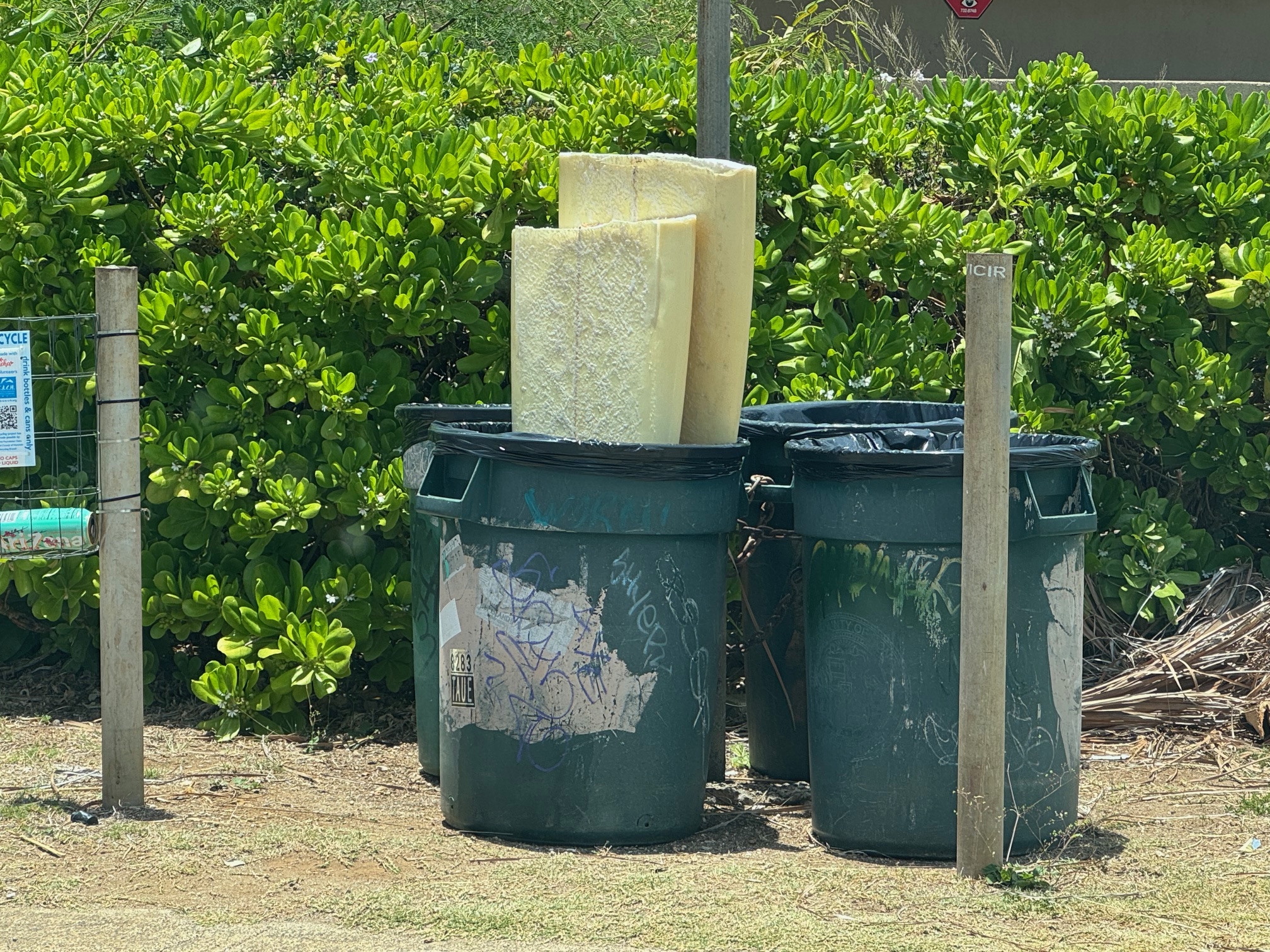 August 11, 2025 Hawaii Surf Report | KIRBY FUKUNAGA BLOG by